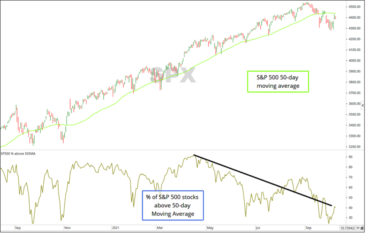 Optuma Market Breadth Data 2