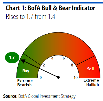 IR Insight chart
