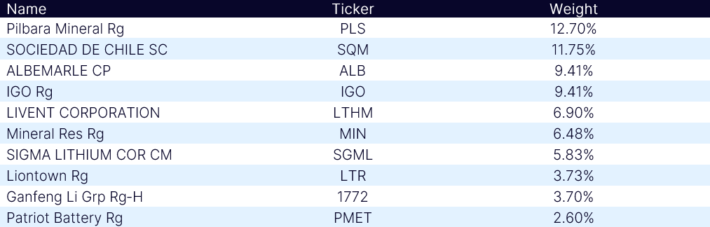 NSLITP Top 10 Holdings Table