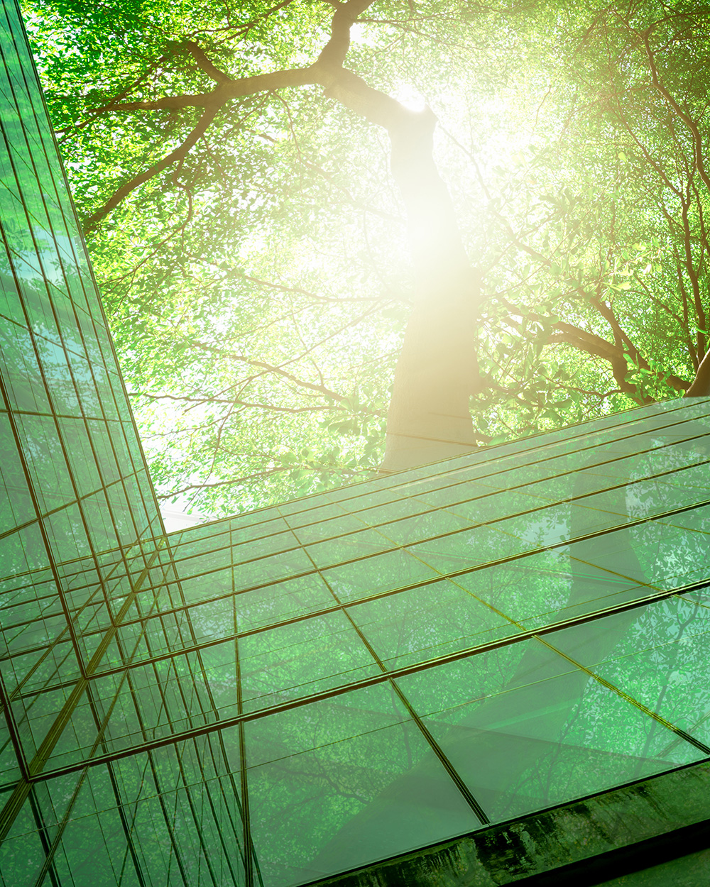 glass building with sun shining through trees