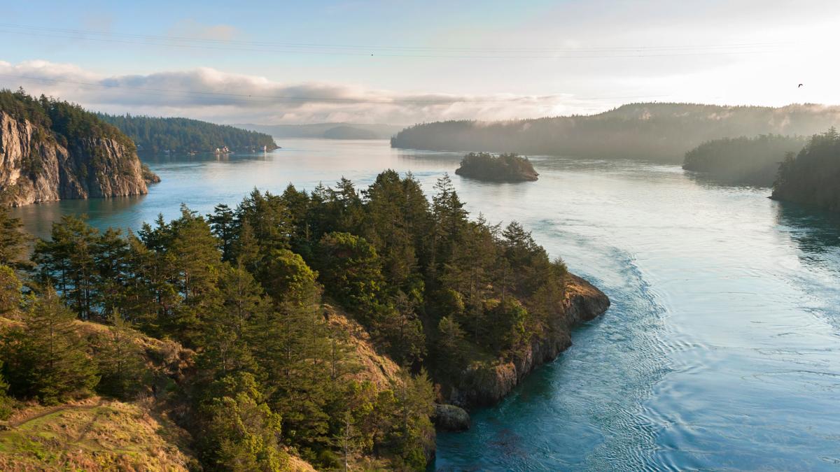 Landscape photograph of a river dividing land with forest, foliage and brush in the daytime.