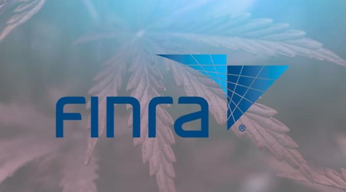 Finra Organizational Chart